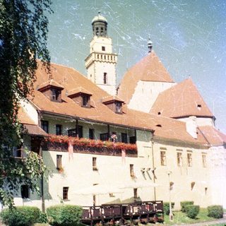 Historic castle with red-tiled roofs and towers.