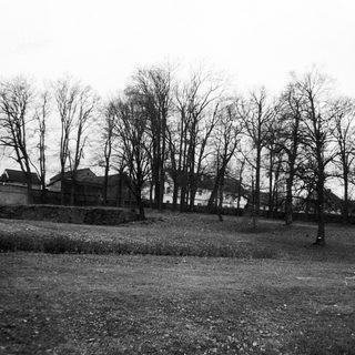 Rural landscape with bare trees, open field, and lone figure.