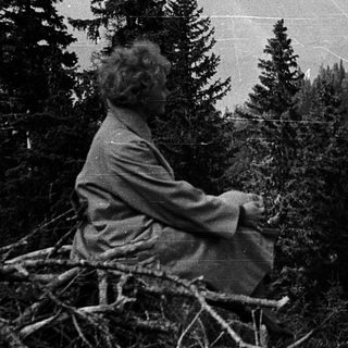Man sitting alone in mountainous forest.