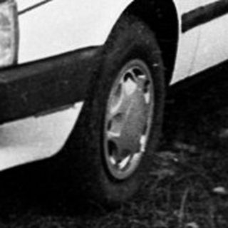 White sedan parked in overgrown driveway.