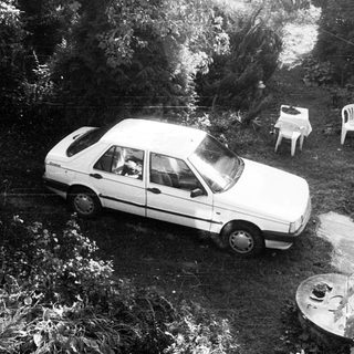 Aerial view of parked car in wooded driveway.