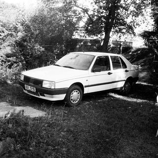 Vintage sedan parked in overgrown backyard.