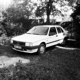 White sedan parked in overgrown backyard.