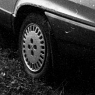 Vintage car parked on grassy, overgrown driveway.
