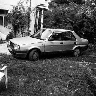 Vintage car parked on grass near garden.