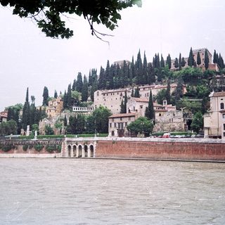 Historic hilltop town by river with cypress trees.