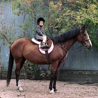 Child riding horse in outdoor arena.