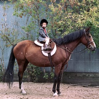 Child riding horse in outdoor riding arena.