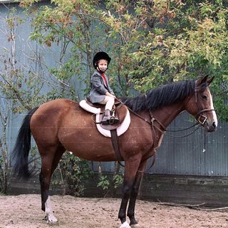 Child riding a horse in outdoor arena.