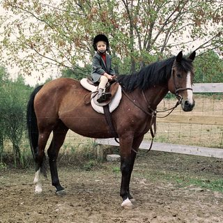 Child riding a horse in an outdoor paddock.