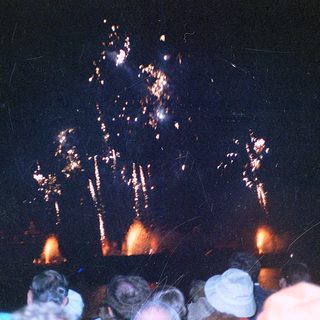Fireworks display forming a silhouette of a tree.