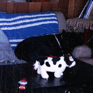 Cozy living room with person sleeping on couch, toy cow, and TV on.