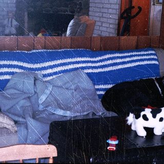Cozy living room with person sleeping on couch, toy cow, and TV on.