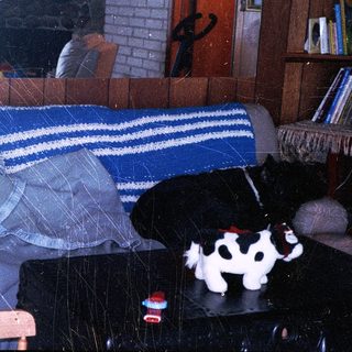 Cozy living room with person sleeping on couch, toy cow, and TV on.