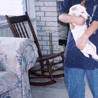 Person holds small dog indoors with larger dog sitting nearby.