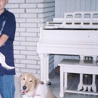 Person holds small dog indoors with larger dog sitting nearby.