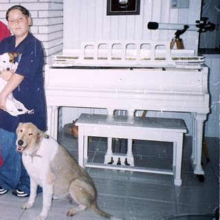 Two women and two dogs indoors.