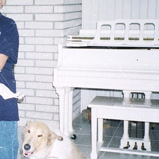 Person holding a white kitten indoors with a dog.