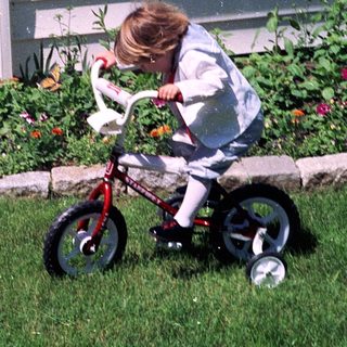 Child riding small bicycle on grass near garden.