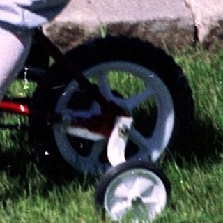 Child riding small bicycle on grass near garden.