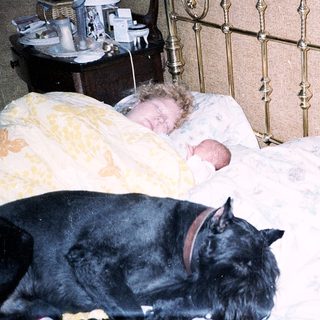 A baby and a black cat peacefully sleeping together in bed.