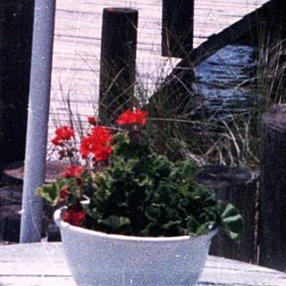 Three adults posing by a waterfront dock.