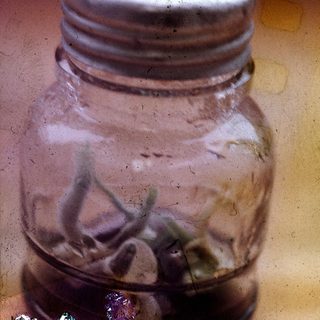 Clear jar with metal lid containing dried herbs.