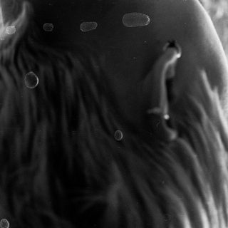 Close-up of a person's face with water droplets.