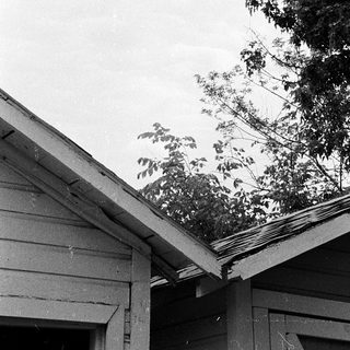 Roofline with damaged shingles and tree branches.
