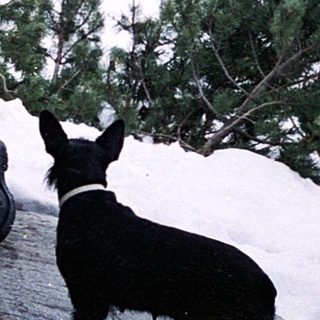 Three people posing outdoors in snowy mountainous area.