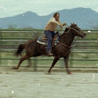 Cowboy rodeo event: rider chasing calf.