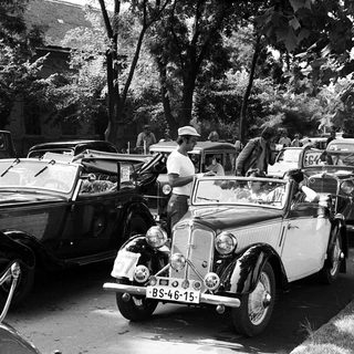Vintage cars parked in a tree-lined street.