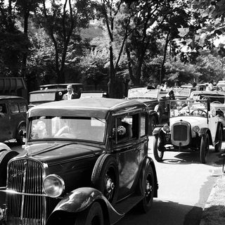 Vintage cars parked in a tree-lined street.