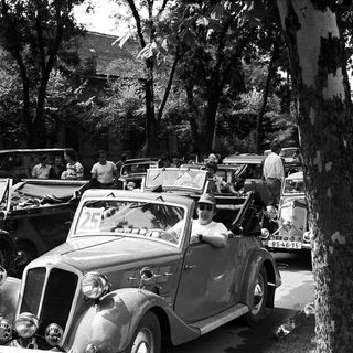 Vintage cars parked in a wooded gathering.