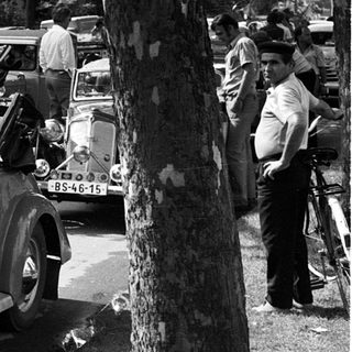 Vintage cars parked in a wooded gathering.