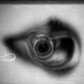 Blurred image of a swirling dark shape.