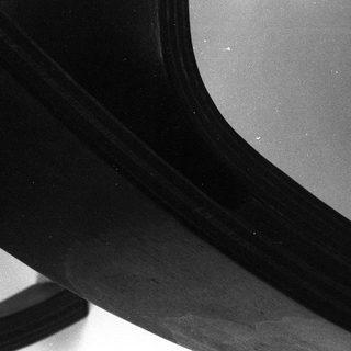Curved black interior with visible seam.