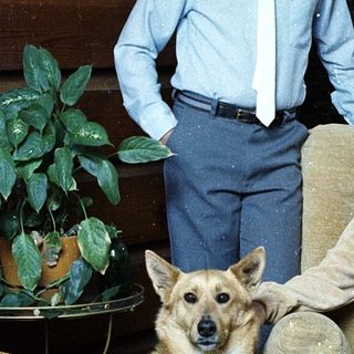 Family portrait with man, boy, and dog indoors.