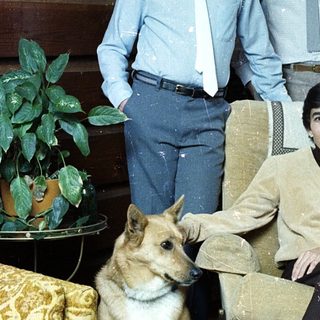 Family portrait with two boys, woman, and dog indoors.