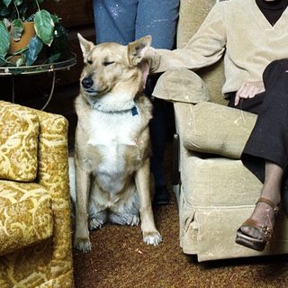 Family portrait with boy, woman, and dog indoors.
