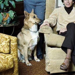 Family portrait with two young men and woman, dog, indoors.