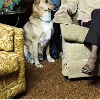 Family portrait with two young men and woman, dog, indoors.