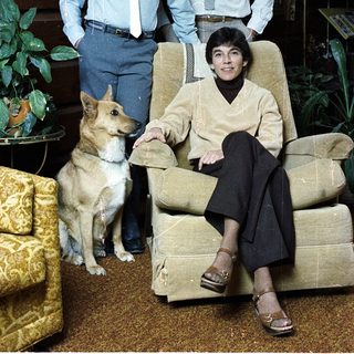 Family portrait with two young men and woman, dog, indoors.
