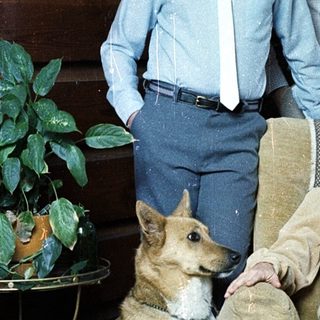 Family portrait with two young men and woman, dog, indoors.
