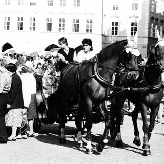 Horse-drawn carriage in crowded street scene.