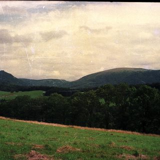 Rural landscape with rolling hills and forest.