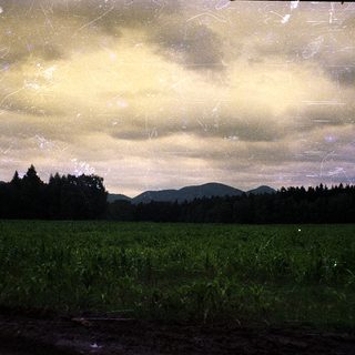 Rural landscape with fields, forest, and dramatic sky.