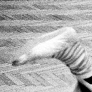 Group performing floor exercises in dance studio.