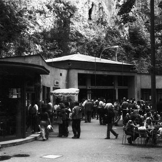 People gathered outside a building in a park-like setting.