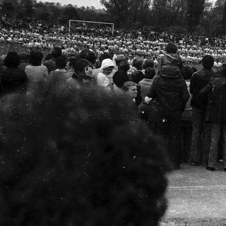 Large crowd gathered at outdoor stadium event.